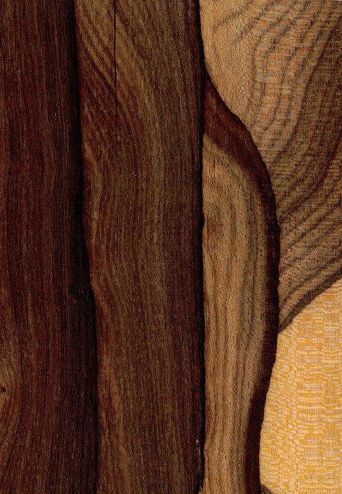 ジリコテとは - 美しい木目を持つ希少な木材｜ギタコン